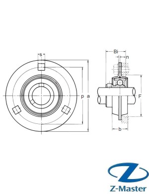 BPF6 подшипниковый узел NACHI / SBPF206, BPF206, USPF206, RAY30-XL, ASRPF206 